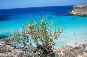 Отель Serena Guest House  Lampedusa e Linosa